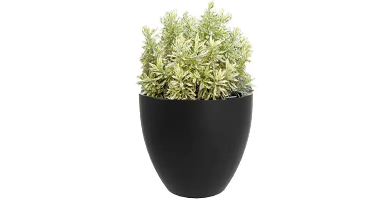 Fiberglass Planter B 2 768x427