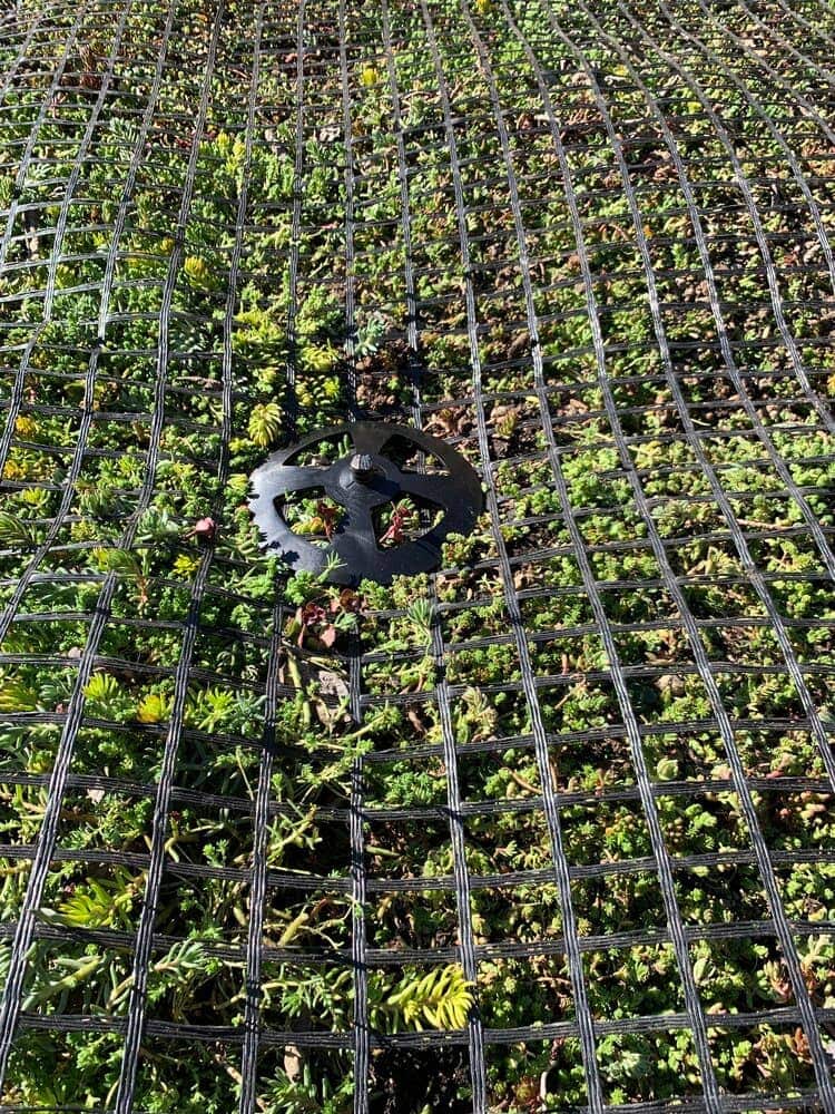 Erosion Mat Over Veg