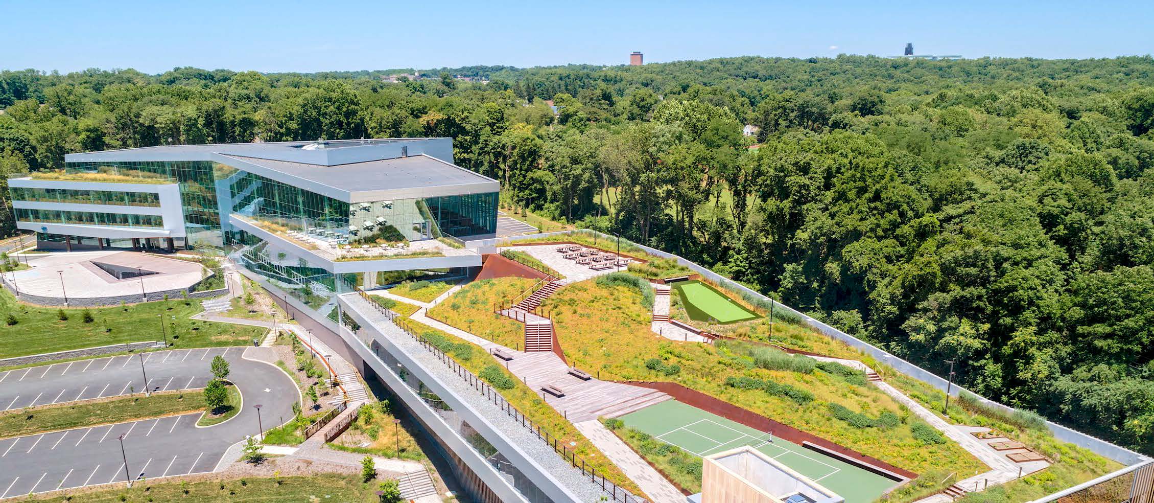Green Roofs 100